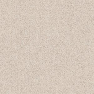 0033 SPIDER BEIGE