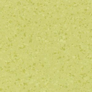 4447 - Light Emerald