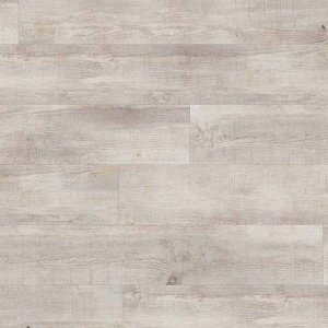 creation-30-0060-arena