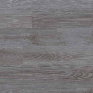 creation-30-0061-oxford