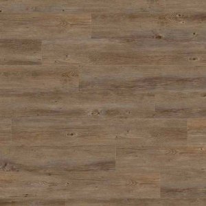 creation-30-0457-buffalo