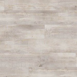 creation-55-0060-arena