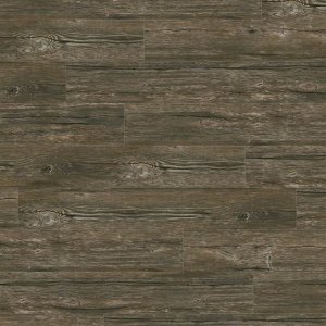 creation-55-0458-aspen