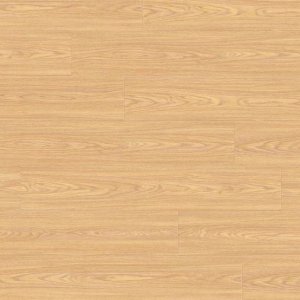 creation-55-0465-cambridge