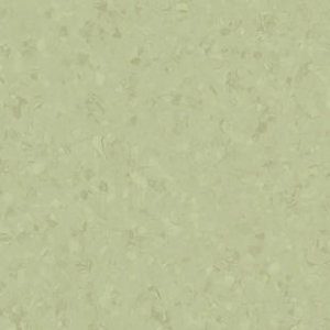 eclipse-peremium-21020769