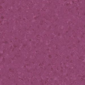 eclipse-peremium-21020776