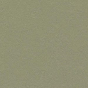 forbo-marmoleum-solid-walton-3355-rosemary-green