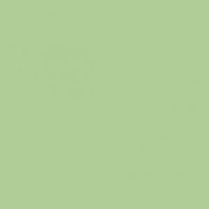 sport-court-power-game-0016-kiwi