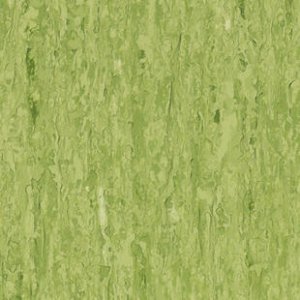 iq-optima-optima-green-0861