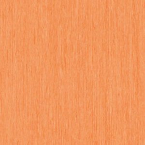 iq-optima-optima-orange-0257