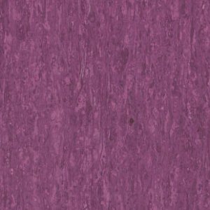 iq-optima-optima-purple-0255