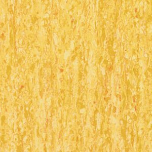 iq-optima-optima-yellow-0824